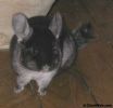 DSCN0271.jpg