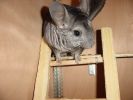 Titou78-02.JPG