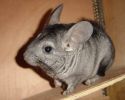 Titou78-03.JPG
