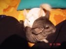 DSC02200.JPG