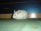DSC02212.JPG