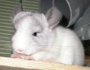 DSCN6027.jpg