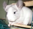 DSCN6029.jpg